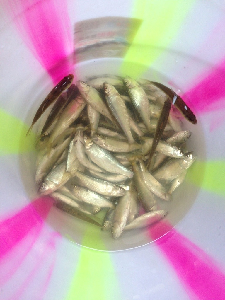 一天的成果
